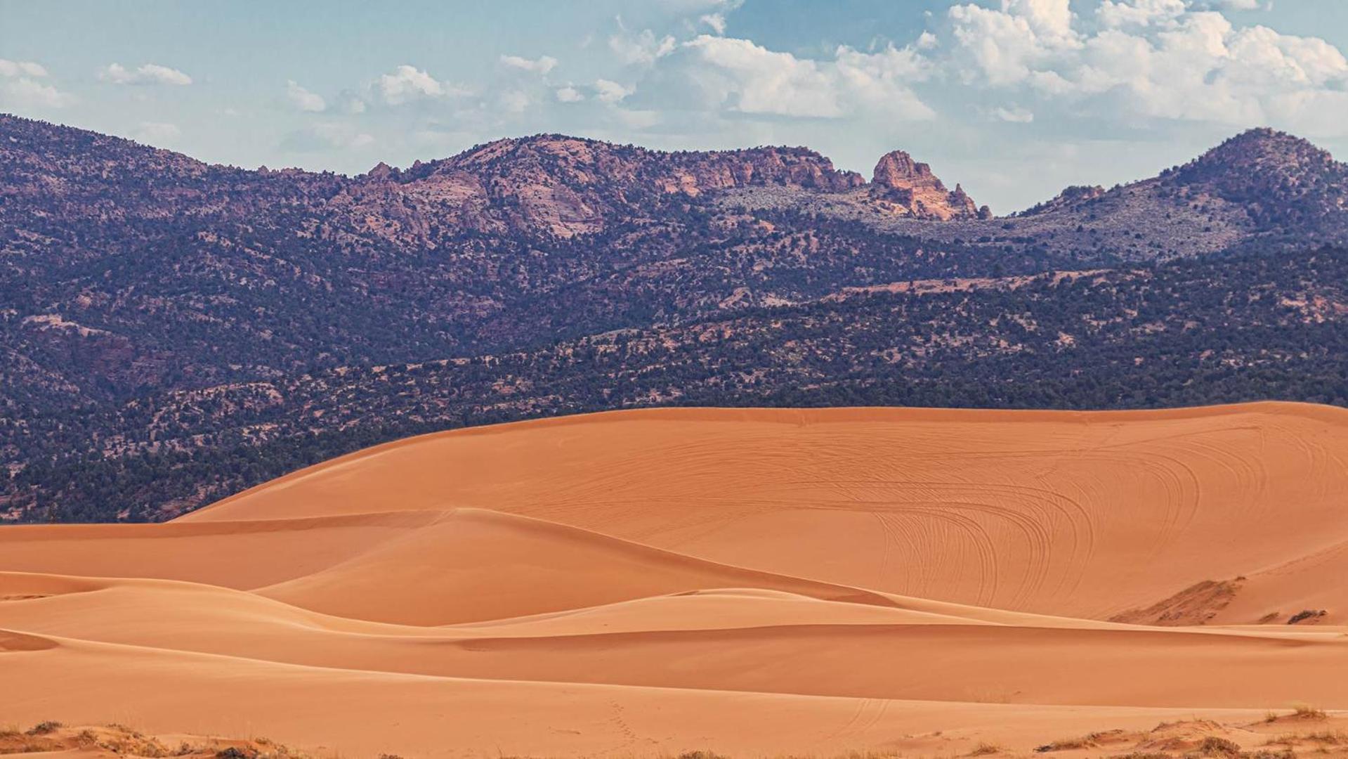 Southern Utah Hidden Gem Near Zion National Park Orderville Exterior foto